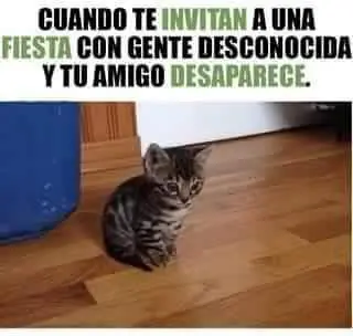 humor