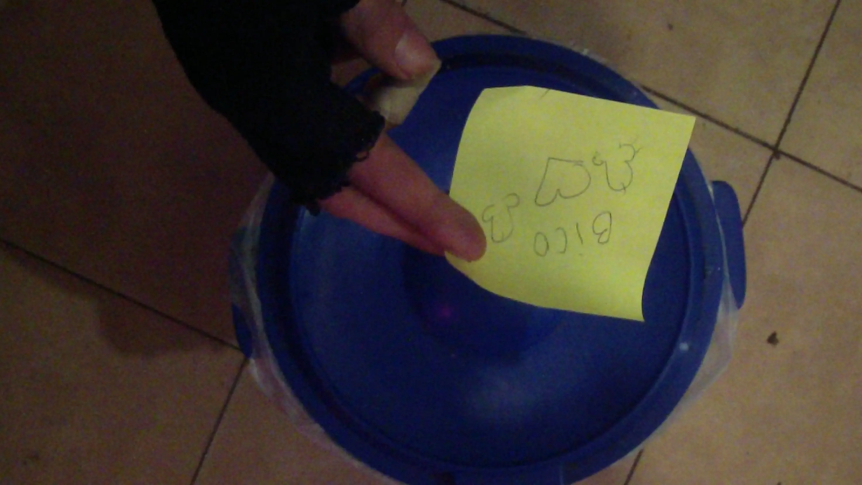 votar a Macri