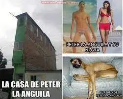 post nuevo