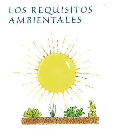 productos