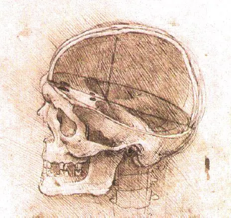 Lobotomía: el ejemplo perfecto de la negligencia médica