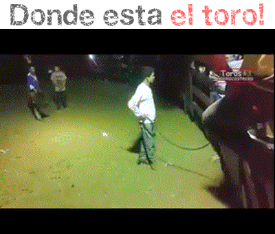 compilado de humor para este fomingo