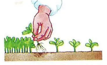 productos