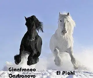 reflexiones cortas