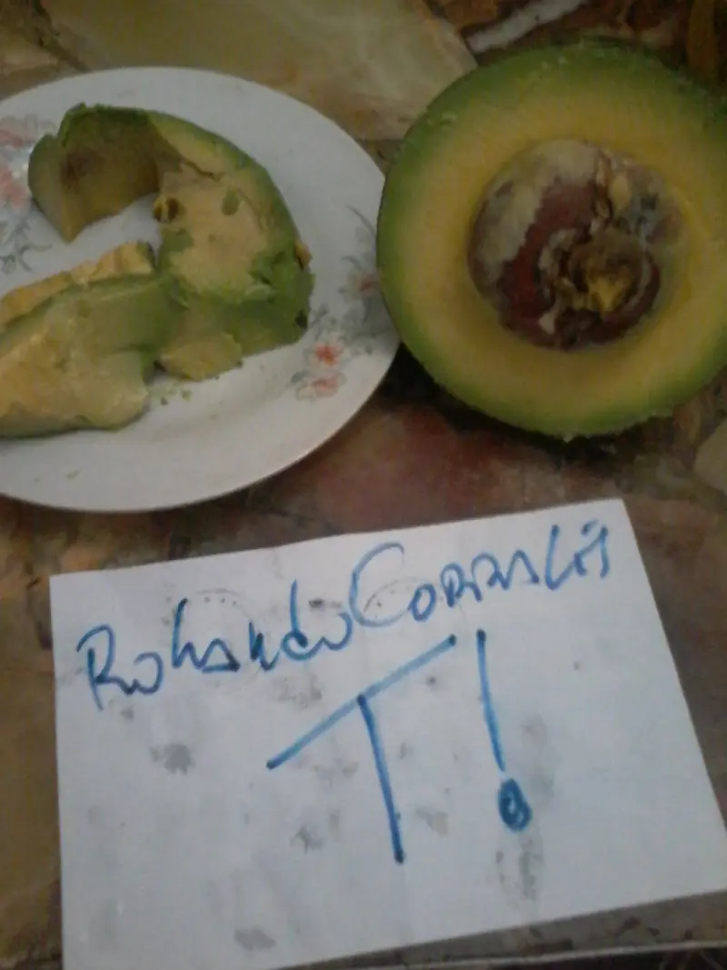 palta