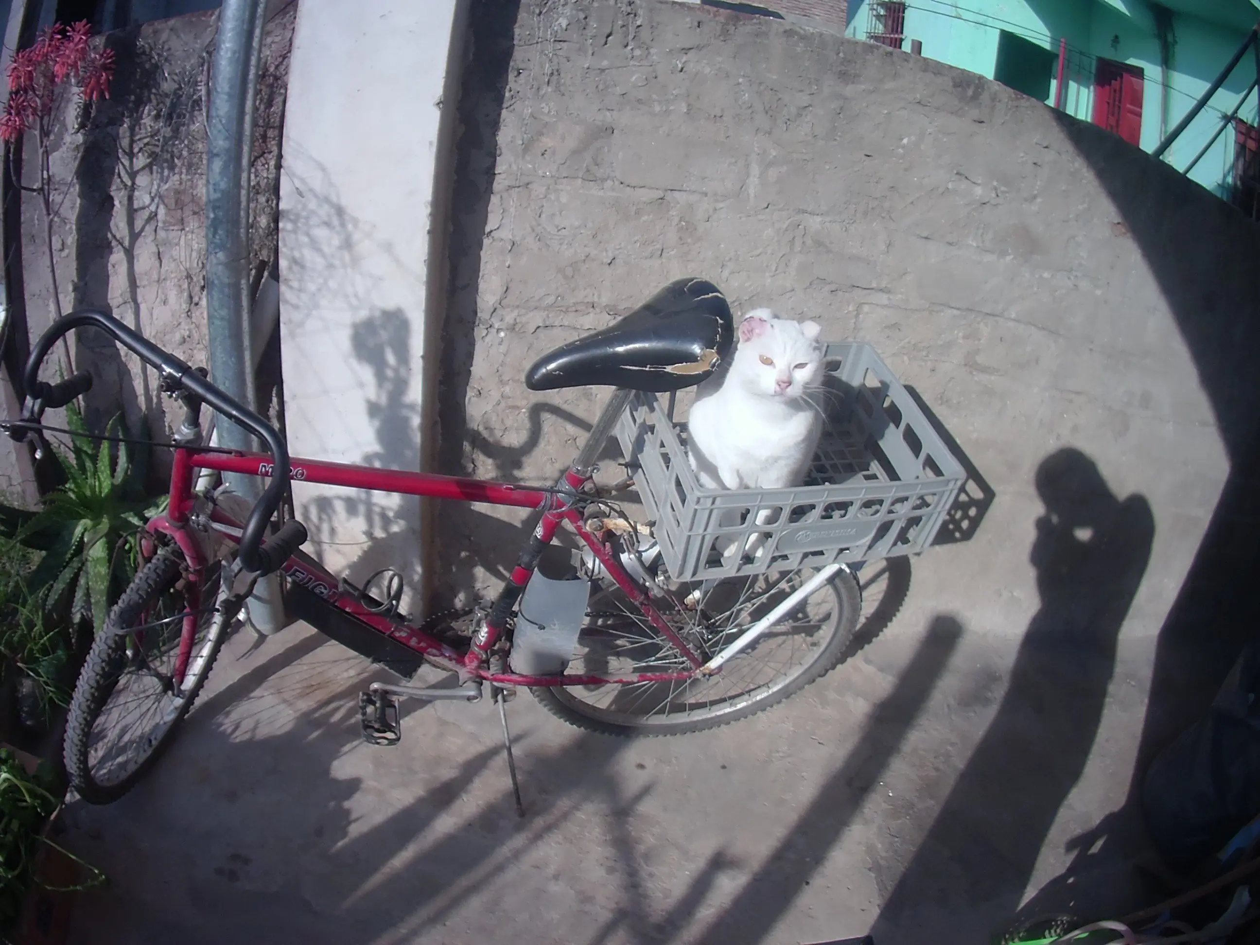 mountain bike