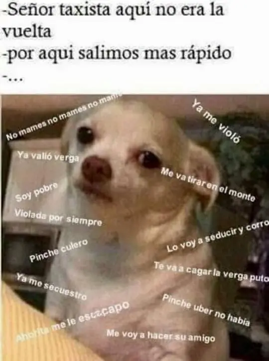 jumor