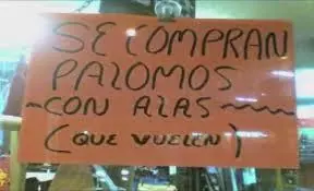 Imagenes graciosas