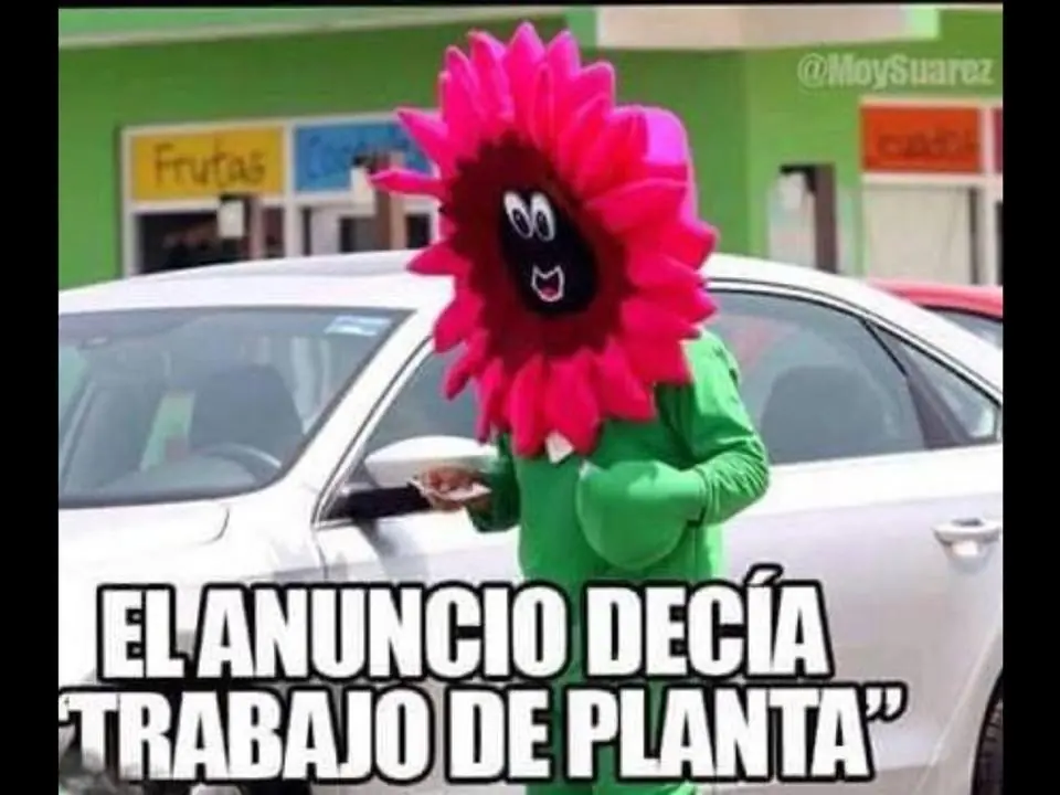 jumor