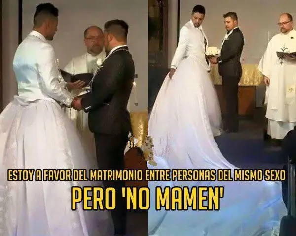 Imágenes al azar, graciosas y curiosas, que te gustaran papu
