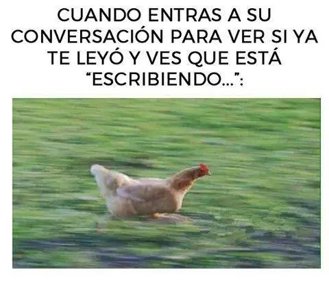 Imágenes al azar, graciosas y curiosas, que te gustaran papu