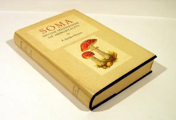 Amanita muscaria, viaje alucinógeno