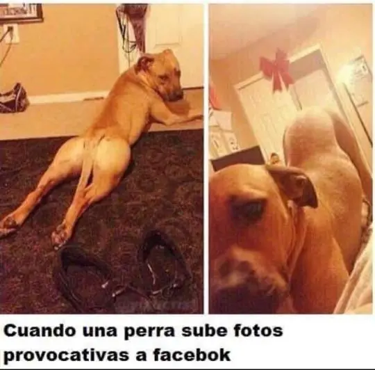 imagnes