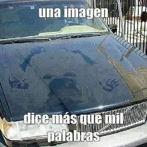 Imagenes graciosas