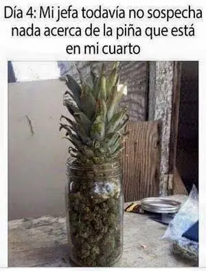 taringa