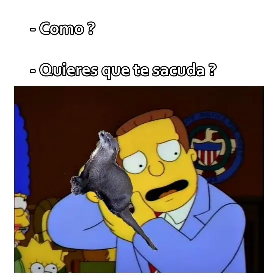 Imagenes de humor que de seguro te harán reír