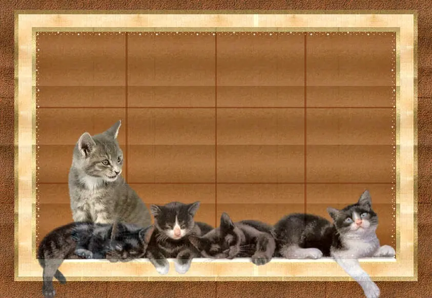 Frases de Amantes de los Gatos