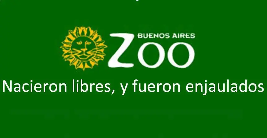 ceguera
