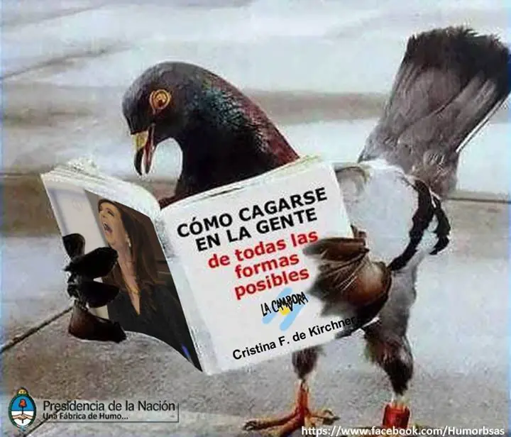 Scioli