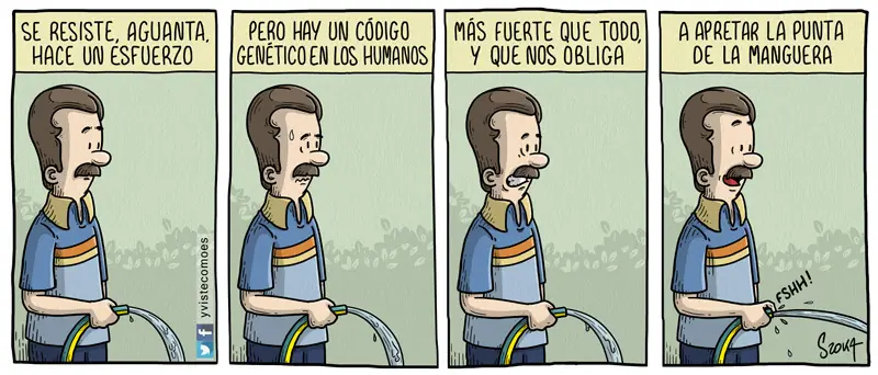 pensar