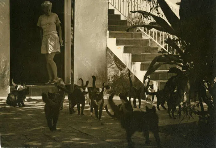 Fotografias interesantes del pasado Volumen 2