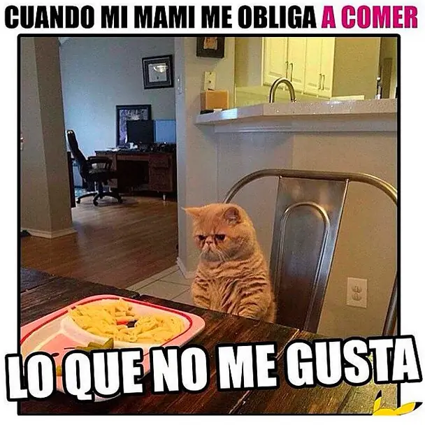 cotidiana