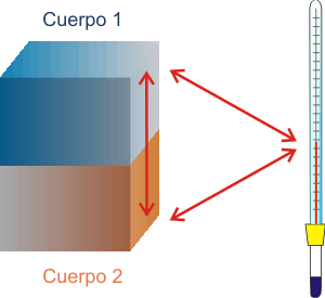¿De Dónde sale el Calor del Cuerpo Humano? ¿De Dónde sale el Calor del Cuerpo Humano?
