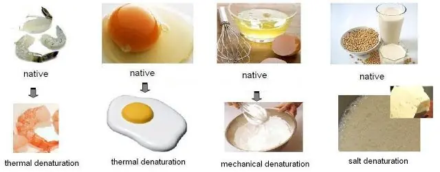 quimica quimica