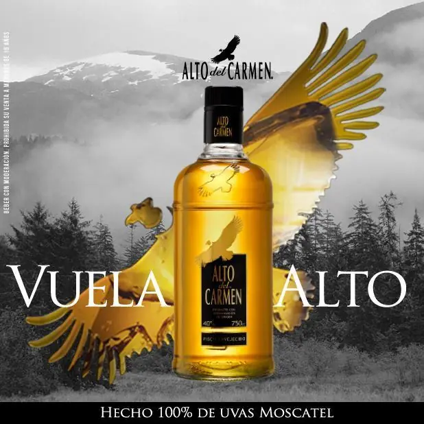 Pisco Chileno, más de 280 años de historia corroborado