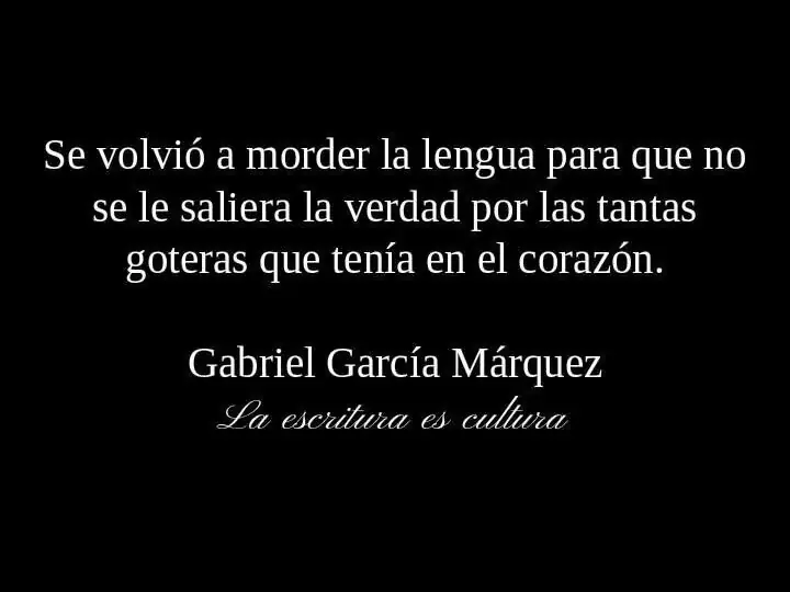 frases frases