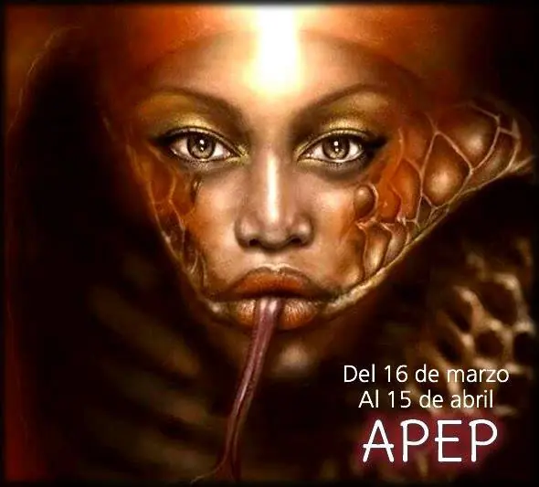 dioses egipcios