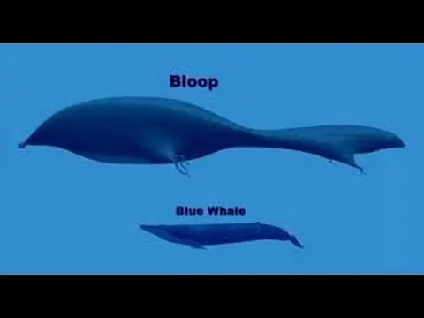 The bloop caso RESUELTO!