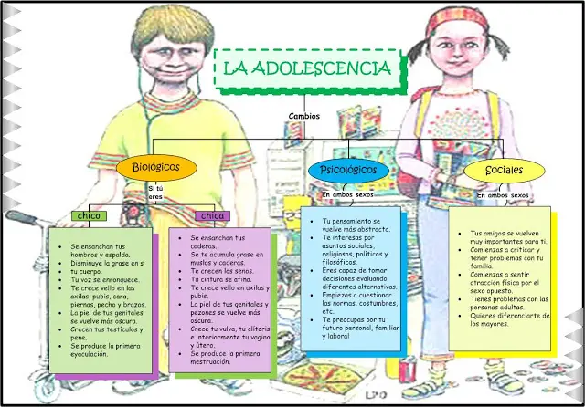 cambios fisicos en la adolescencia