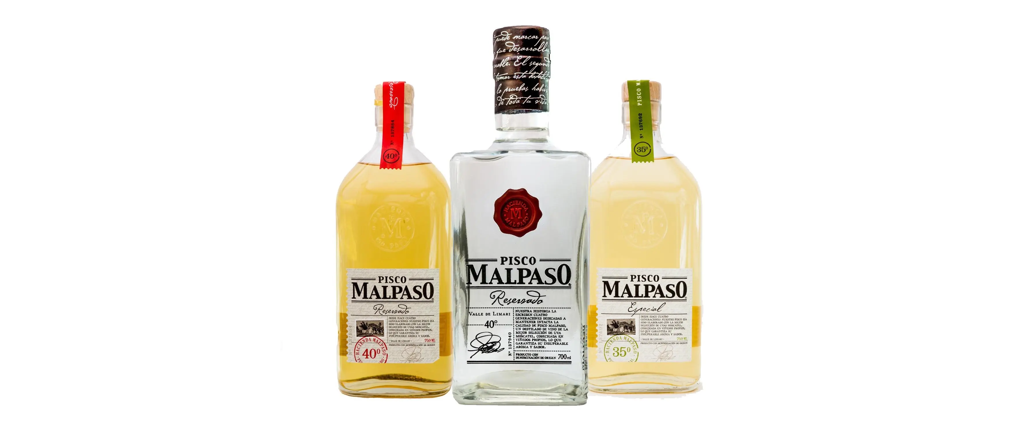 Néctares chilenos: Vino, Pisco y muchas otras