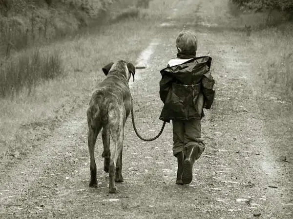 ninos con padres animales