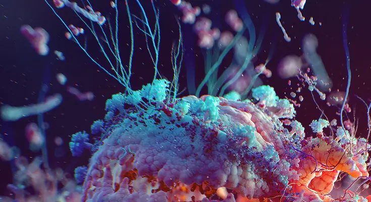 virus