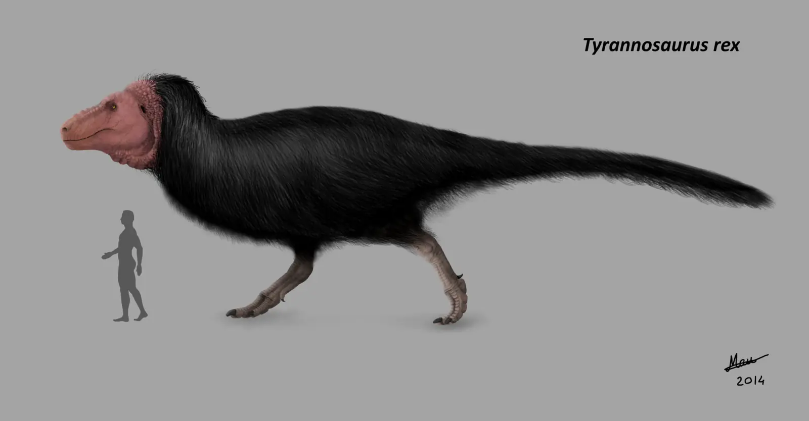 Tyrannosaurus
