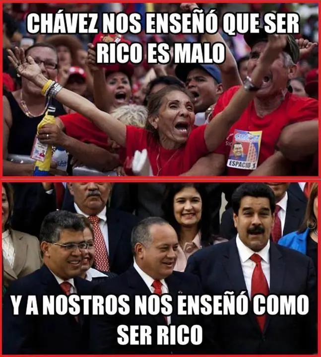 gatos