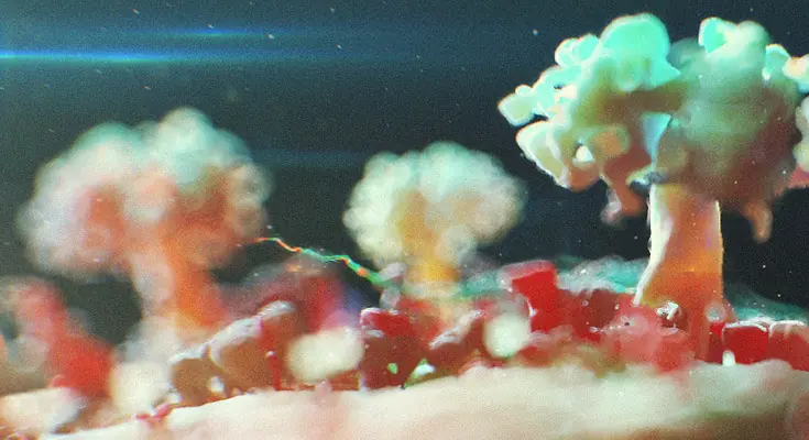 virus