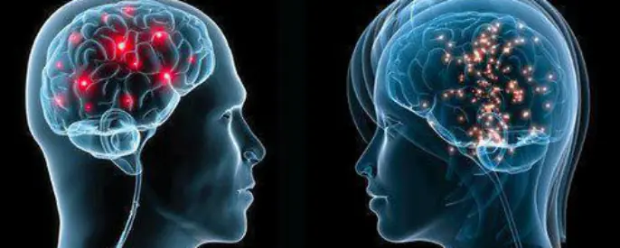Quienes son mas inteligentes los hombre o las mujeres?
