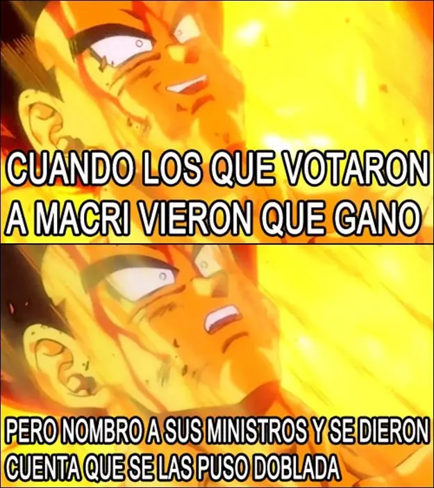Vos querias el bien del país ? le erraste papu..