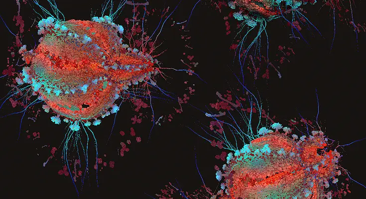 El virus VIH visualizado en 3D