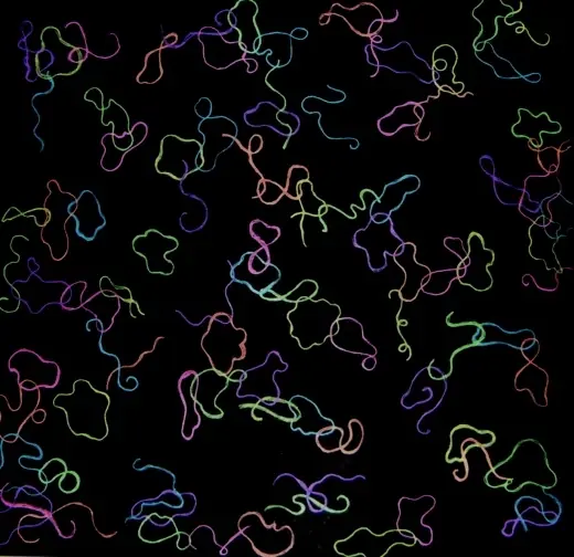 teoria de cuerdas