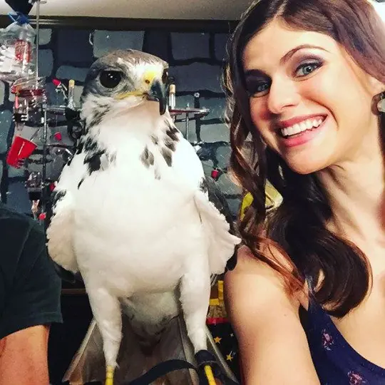 alexandra daddario