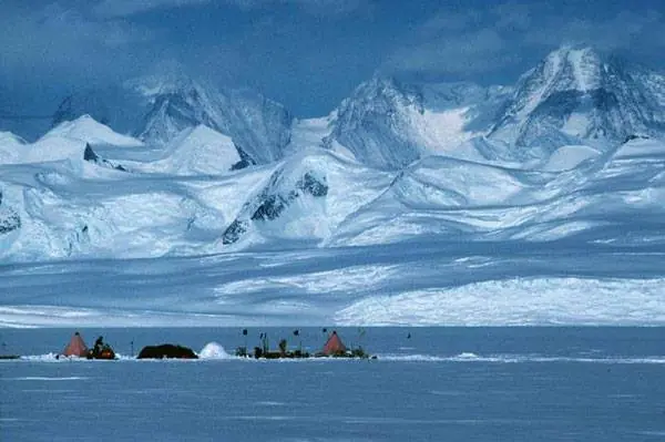 No vas a creer esto de la Antártida