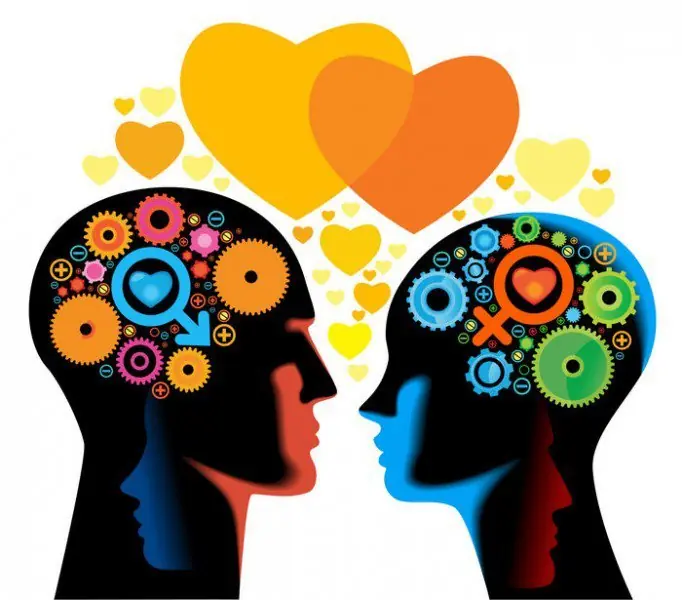 Efecto del porno en el Cerebro
