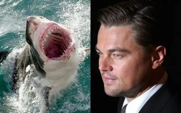 Leo Dicaprio