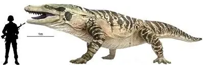 Arquocetos
