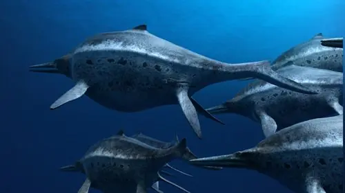 Pterosaurios