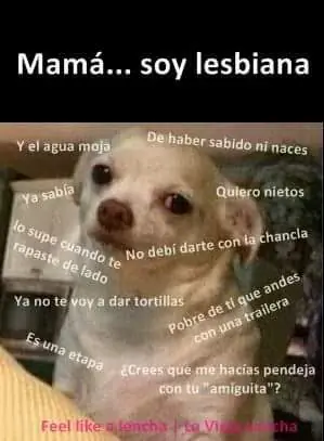 segunda parte